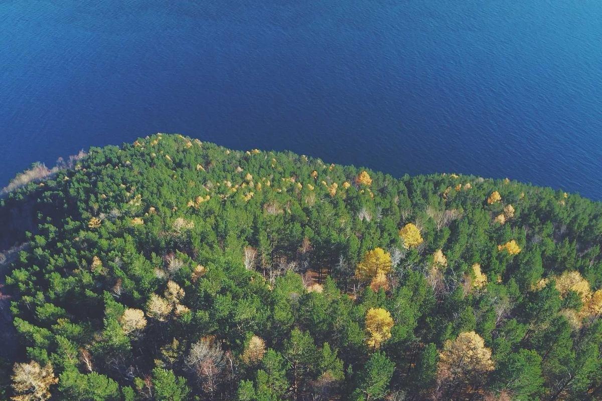 Aluminium Windows Rondebosch