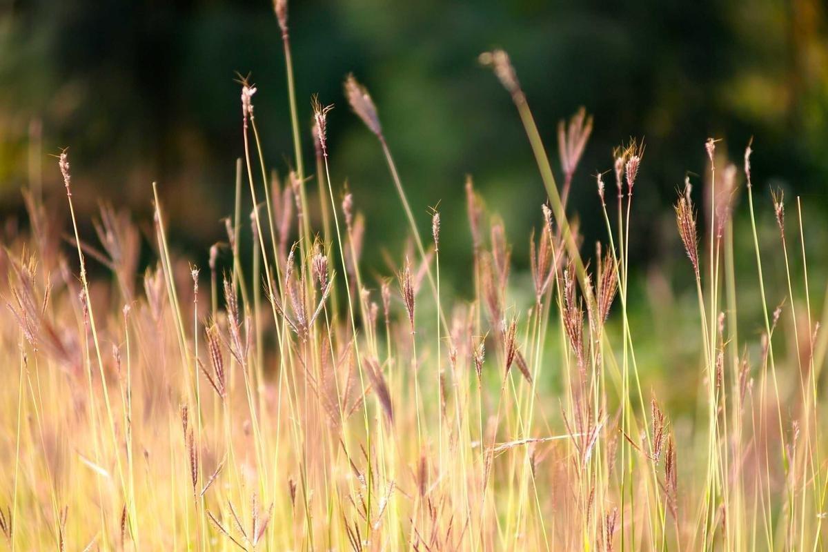 Aluminium Doors Somerset West